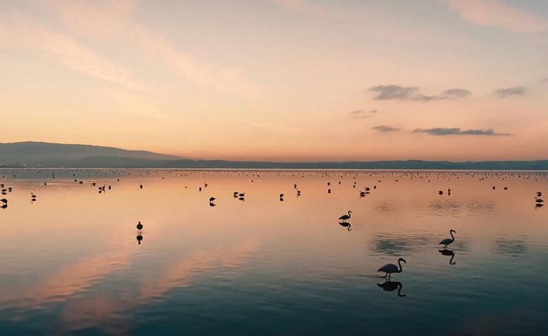 Tarkan, Gediz Deltası için destek istedi