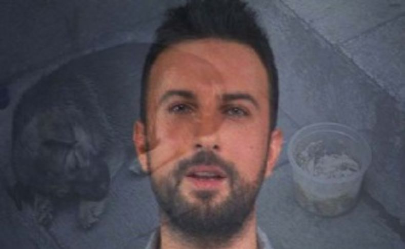Tarkan’dan sokak hayvanlarına klipli destek