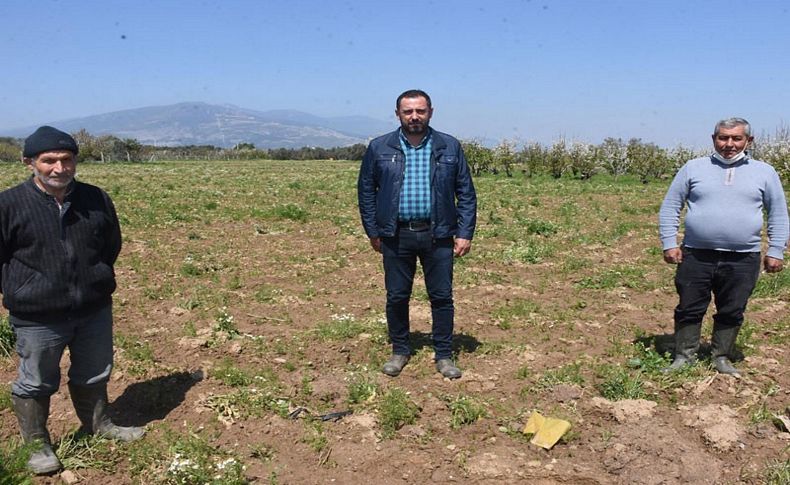 Tarlalardan güzel haber: Çiftçi üretime ara vermiyor