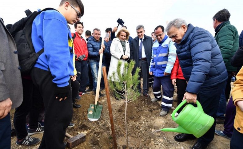 Taş ocağıydı, orman olacak