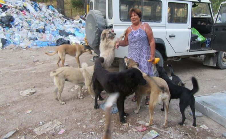 Tatil bitti 'can dostlar' sokağa terkedildi