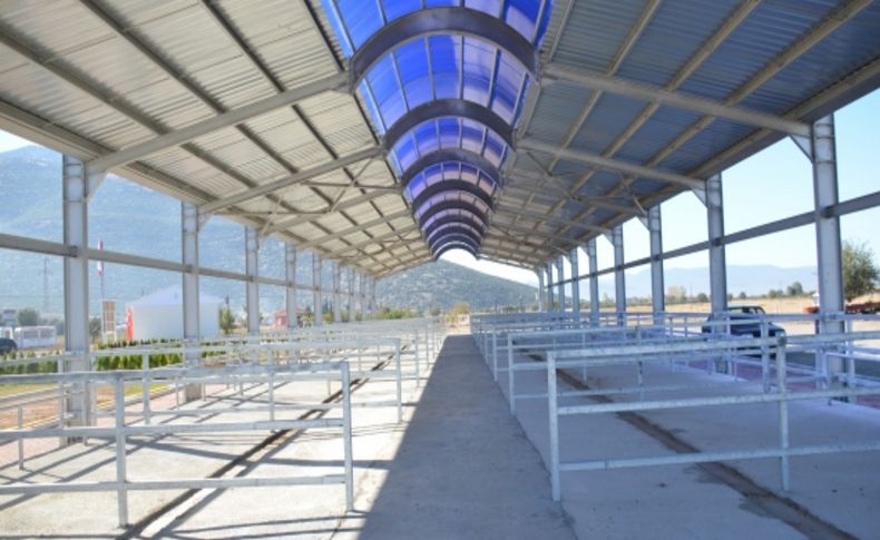 Tavas Canlı Hayvan Borsası açıldı
