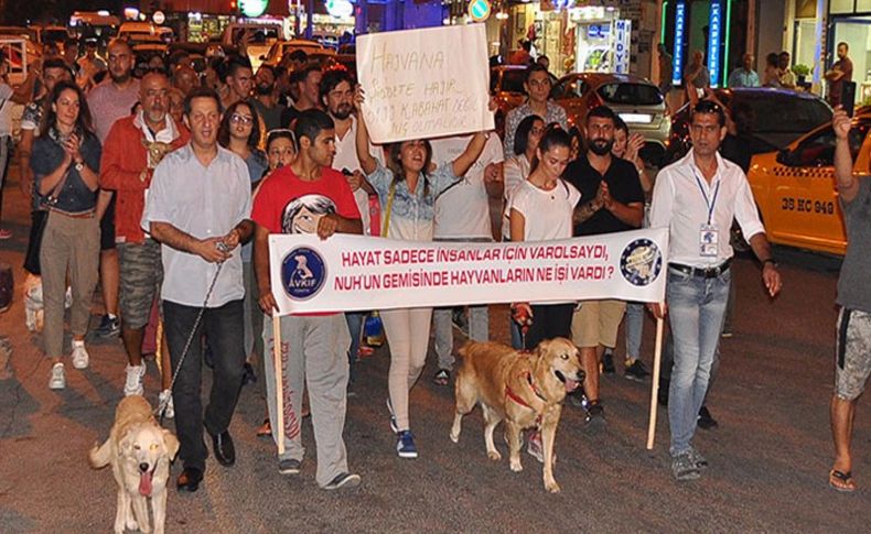 Tekmeli saldırıya hayvan severler tepki gösterdi