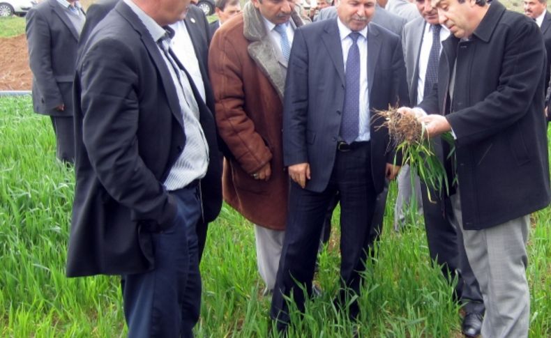 Temel, tarım alanlarını inceledi