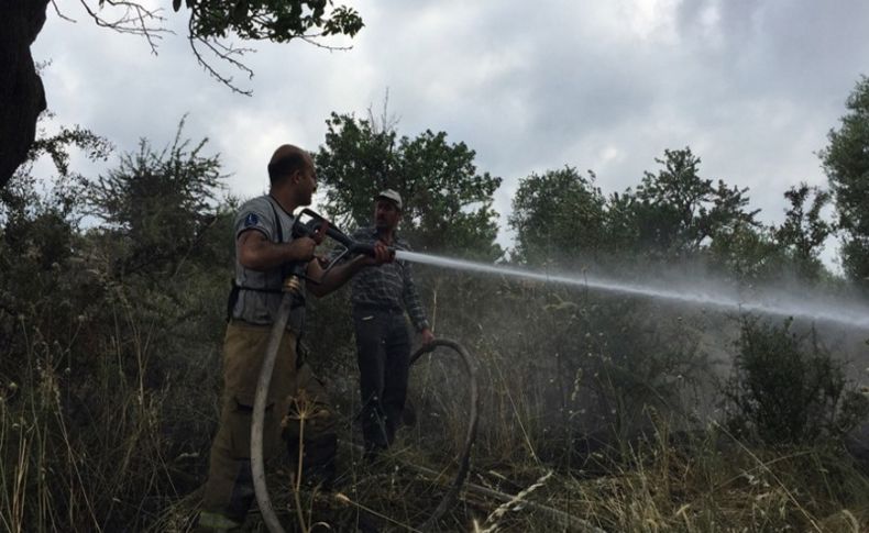 Tire’de makilik alanda yangın