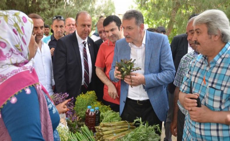 Tire'de yeşilin en lezzetli tonları