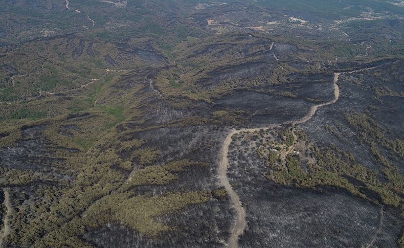 TMMOB İzmir İl Koordinasyon Kurulu'ndan orman yangını açıklaması