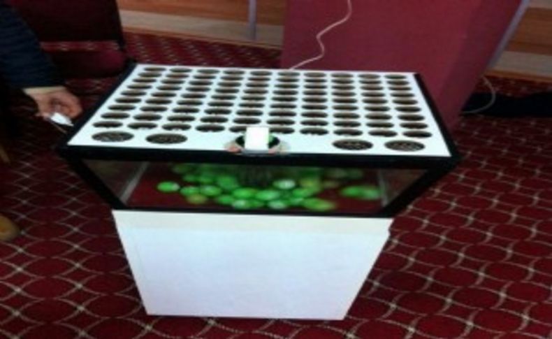 Kooperatif binasinda elektronik tombala