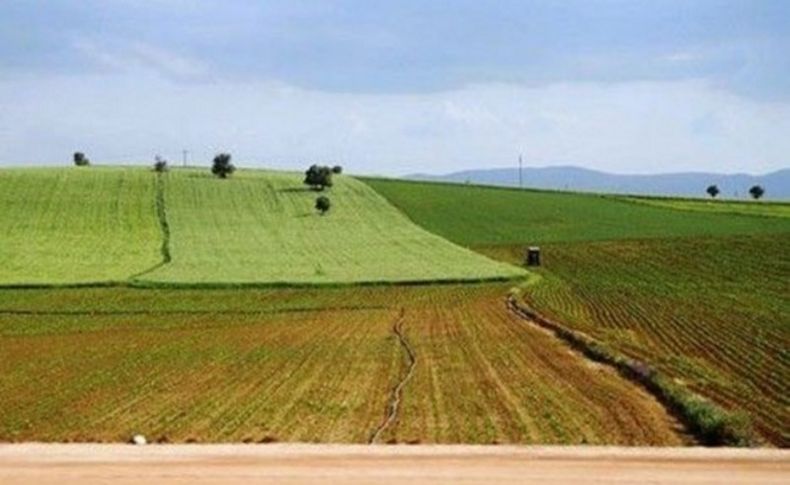 Toprağı olmayıp ekip biçmek isteyenlere kiralık hazine arazisi