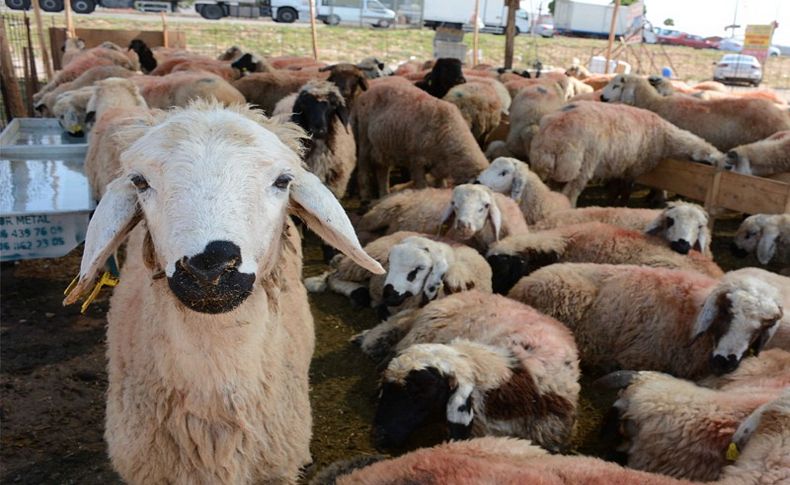 Torbalı’da kurban kesim yerleri belirlendi