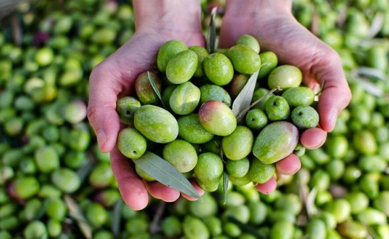 Torbalı festivale çağırıyor
