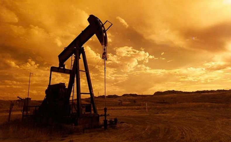 TPAO'ya 4 petrol arama ruhsatı verildi