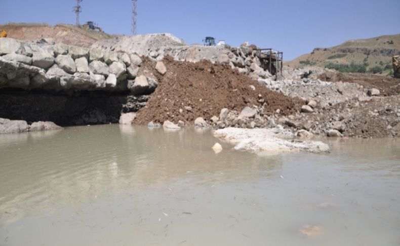 Tunceli'nde telef olan balıkların üzeri harfiyat ile kapatıldı