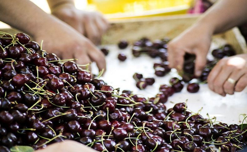 Türk kirazı Çin Seddi'ni aştı