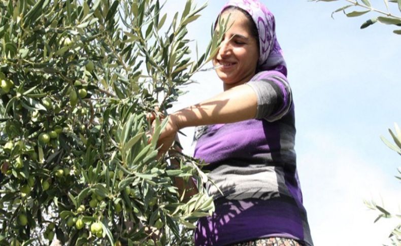 Türkiye o pazarları Yunanistan'a kaptırdı