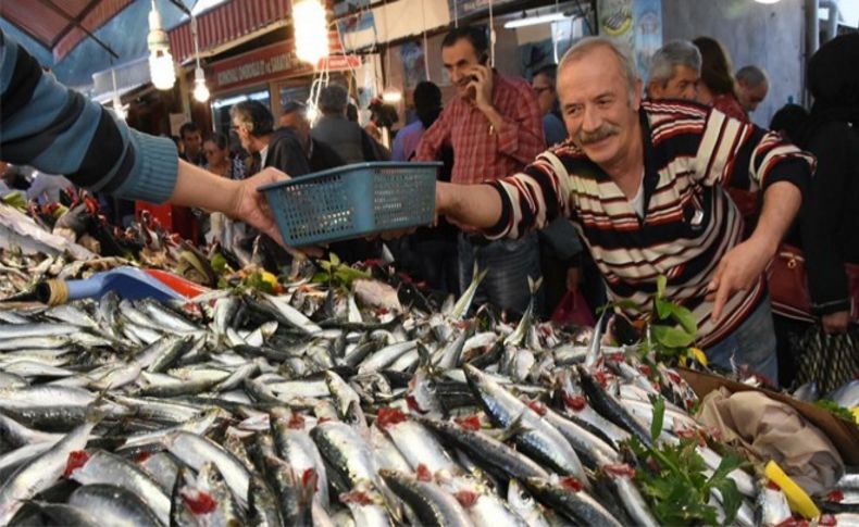 Ucuz balık yüz güldürüyor