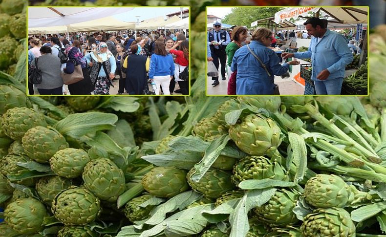 Uluslararası Enginar Festivali başladı