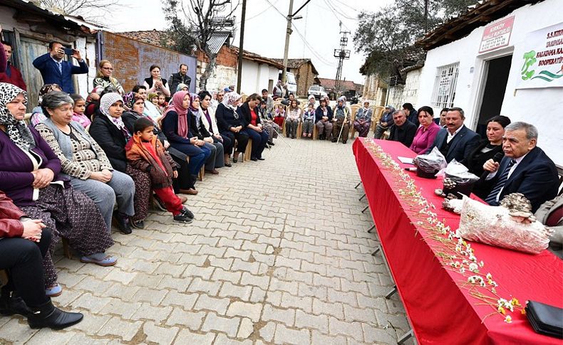 Kirazlı kadınların umut mantarları