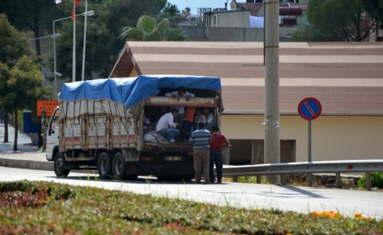 Umut yolcusu sandılar, tarım işçisi çıktı