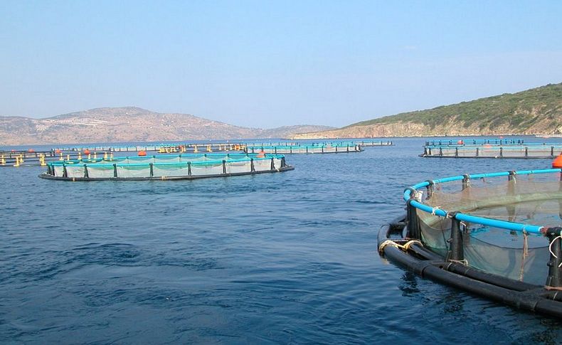 Ünlü denizciden korkutan kirlilik çıkışı: Körfez için hiçbir umut kalmayacak