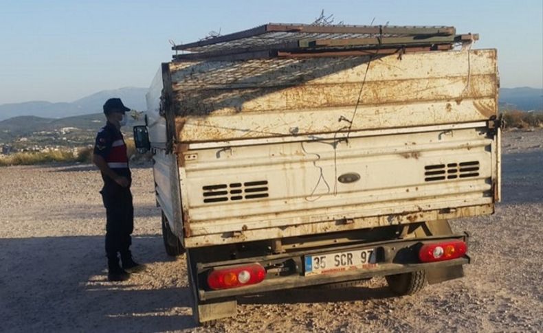 Urla'da kurbanlık hayvan denetimi yapıldı