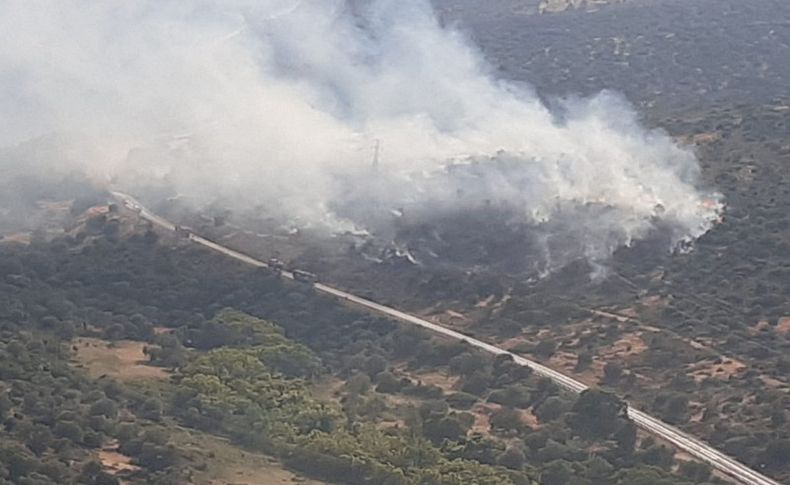 Urla'da 1 hektar makilik kül oldu