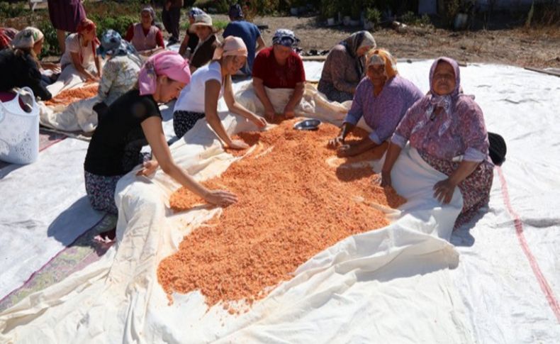 Urlalı kadınların dayanışma tarhanası