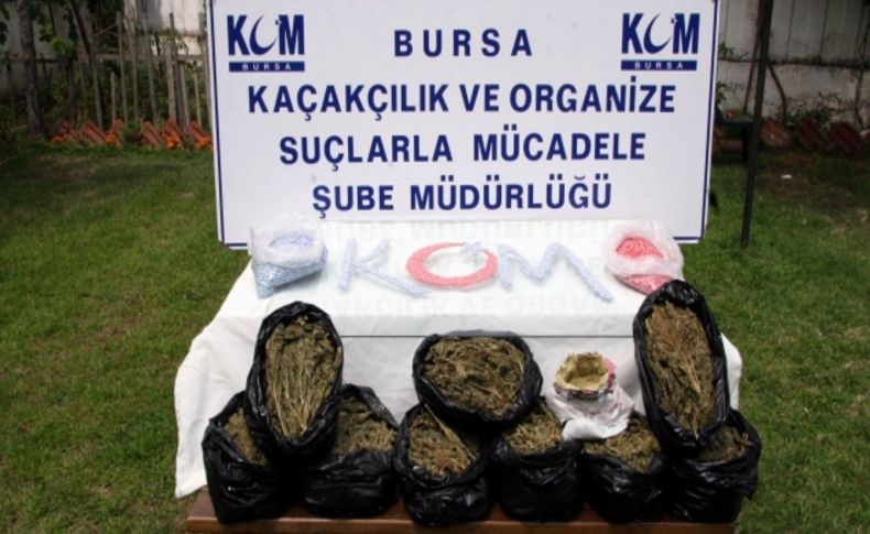 Uyuşturucu operasyonunda 17 bin hap ve 10 kilo esrar ele geçirildi