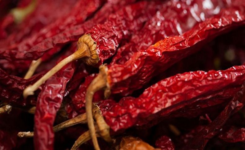 Uzmanlara soruldu! Virüse etkisi var mı'