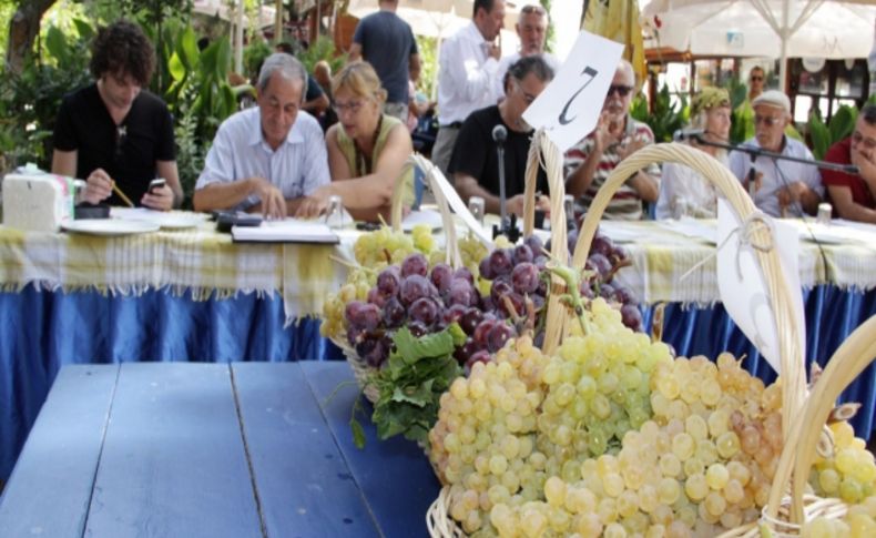 Üzümün Güzelleri Karaburun'da Yarıştı