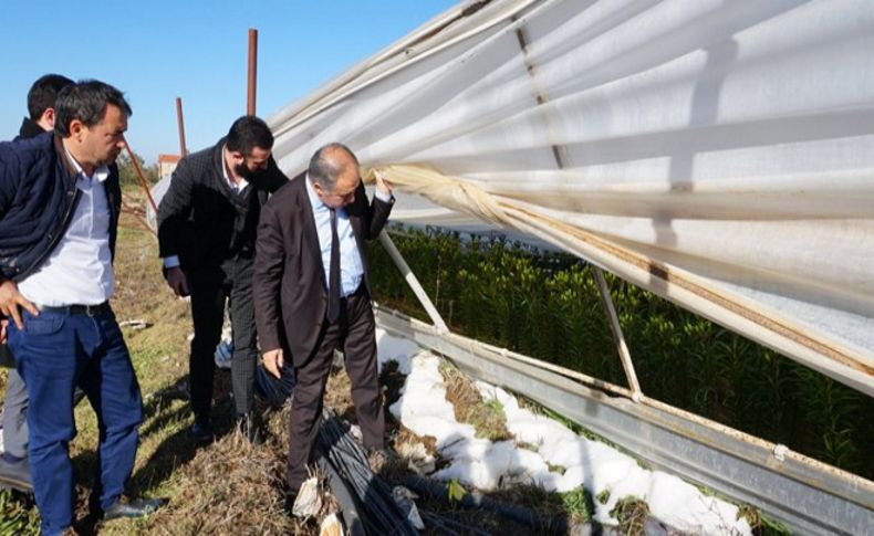 Menderesli seracılara Başbakan güvencesi