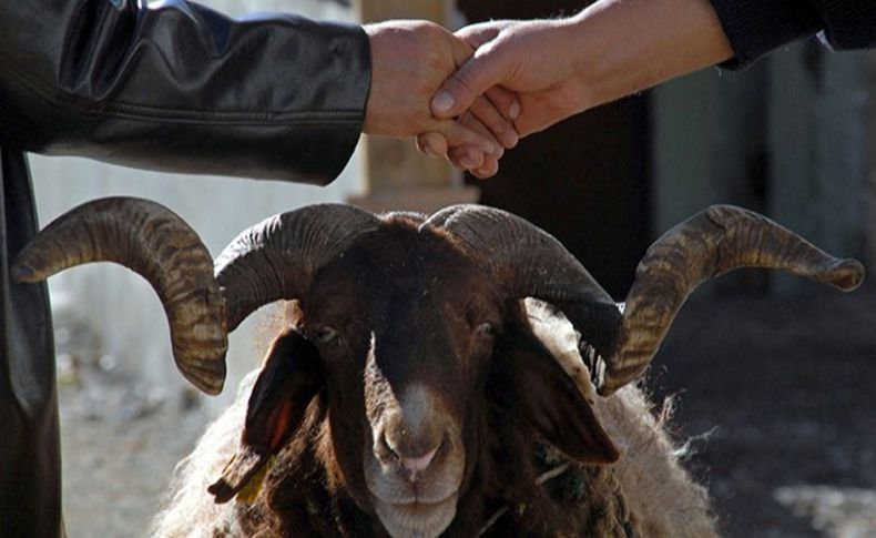 Ve kurbanlık fiyatları açıklandı