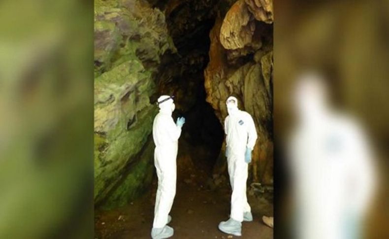 Virüs avcıları 500'den fazla corona virüs saptadı!