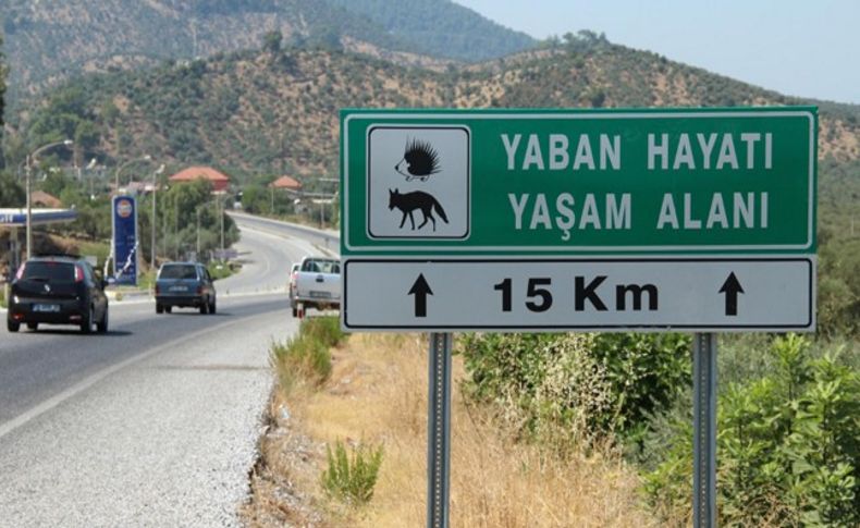Yaban hayvanları için geçiş koridoru talebi