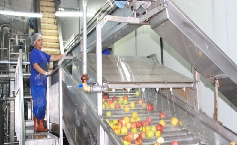 Yabani meyveler Erzincan’dan dünyanın birçok noktasına ihraç ediliyor