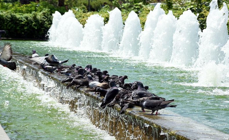 Yarın'a dikkat! İzmir'de hava sıcaklığı artacak