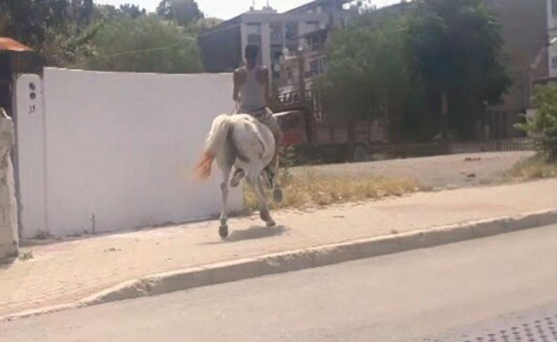 Yasağa aldırış etmeden sokakta ata bindi