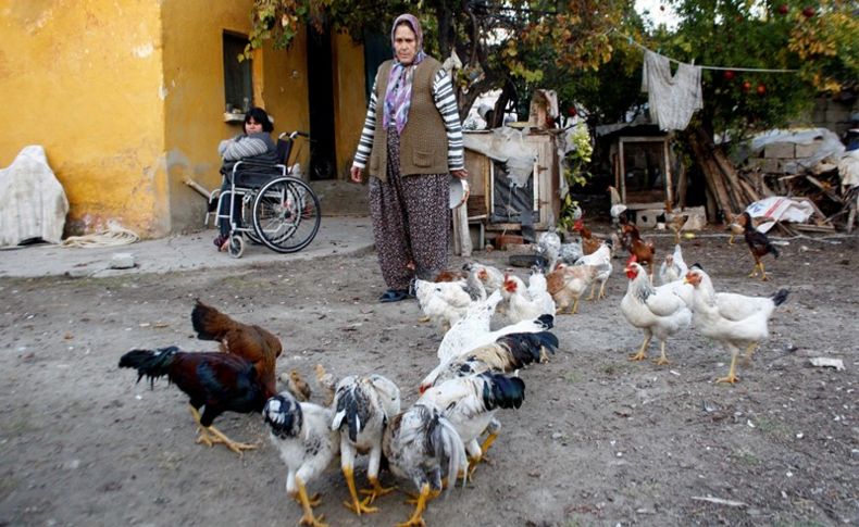 Yaşlı kadın dolandırıcıları yakalattı