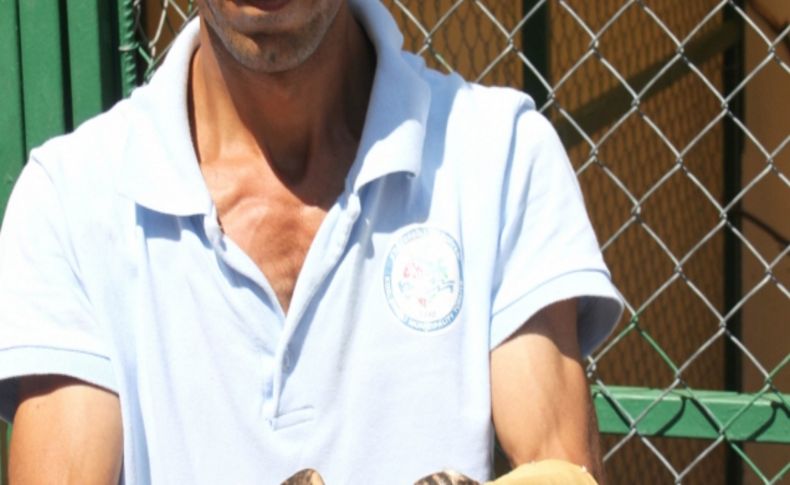 Yavru doğan doğal hayatına salındı