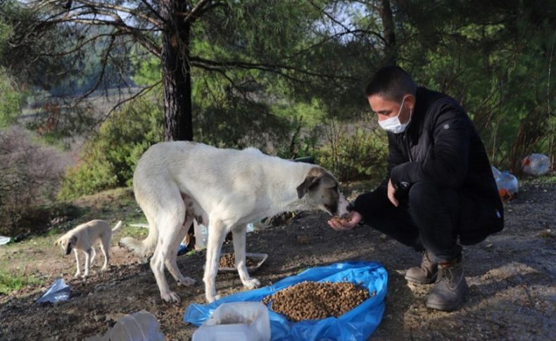 Yeni yıl kısıtlamasında can dostlar unutulmadı