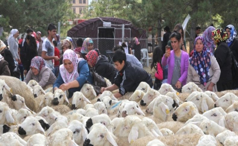 Yeniçeltek Kömür İşletmesi'nden Hami-Yet Projesi'ne 15 bin TL destek