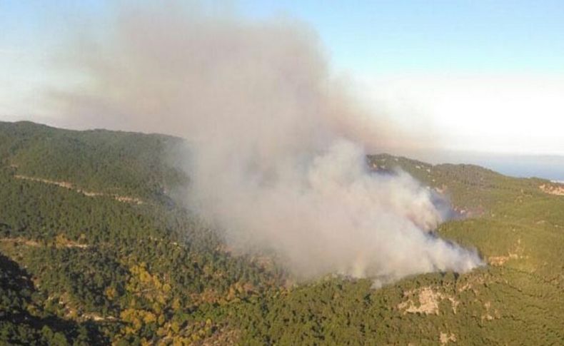 Bergama'da orman yangını