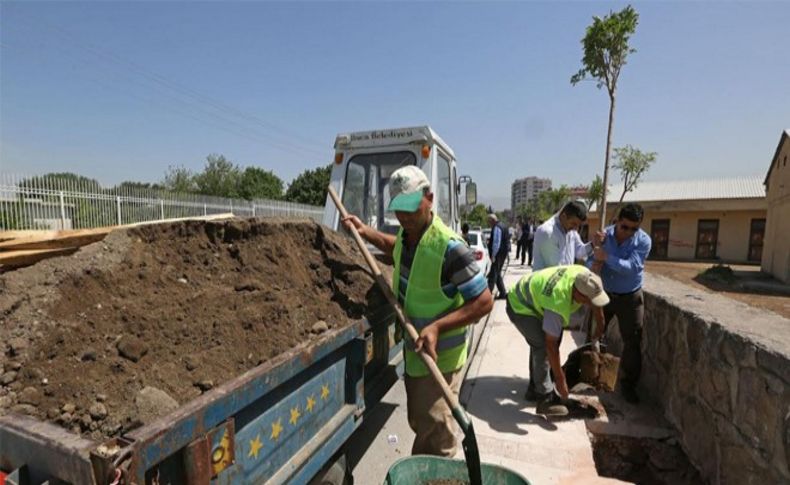 Buca’da yeşil uyanış: Hedef 3 yılda 20 bin ağaç