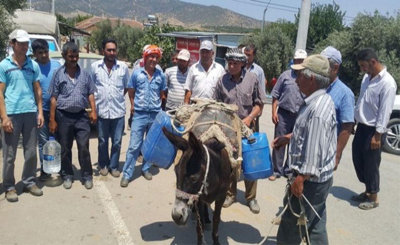 Yıl 2017 ama eşeklerle su taşıyorlar