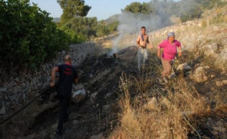 Yılanı öldürmek istedi, makilik alanı yaktı