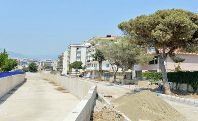 Yol 2 metre kaydırıldı, ağaçlar kurtuldu