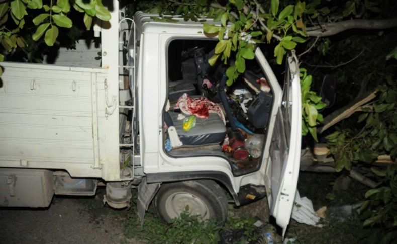 Yol kenarındaki ağaca çarptı, kamyonet içinde sıkıştı