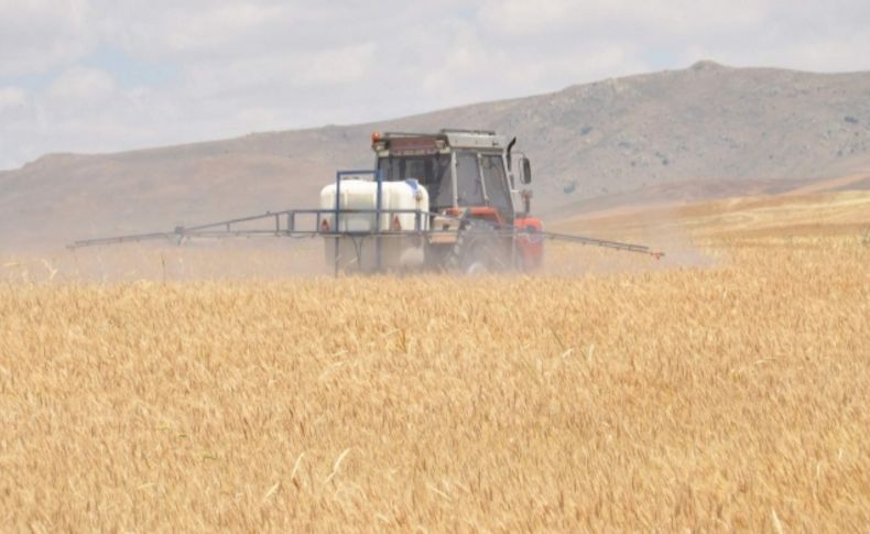 Yozgat’ta 93 bin dekar hububat alanı süneye karşı ilaçlandı