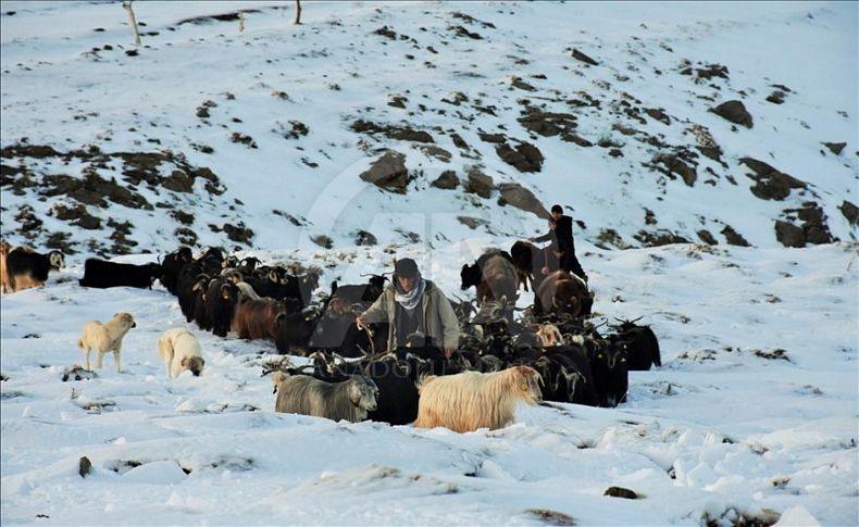 Zamana karşı yarış: Ölümden döndüler