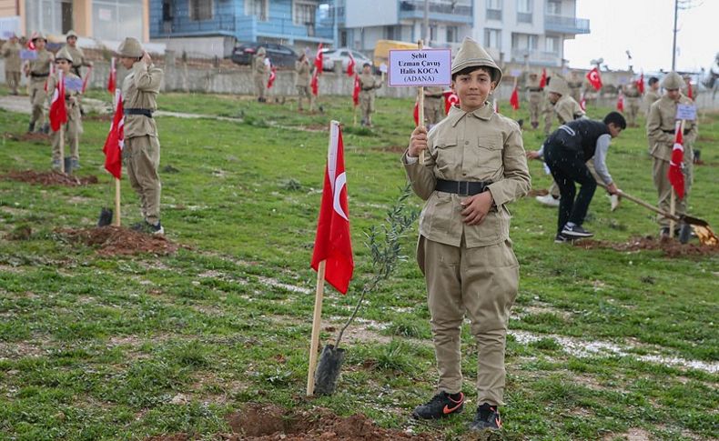 Zeytin Dalı şehitleri zeytin fidanlarında yaşayacak